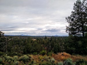 All The Scenery A Girl Could Want!