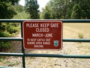 No Cows Were Spotted In The Making Of This Blog Post